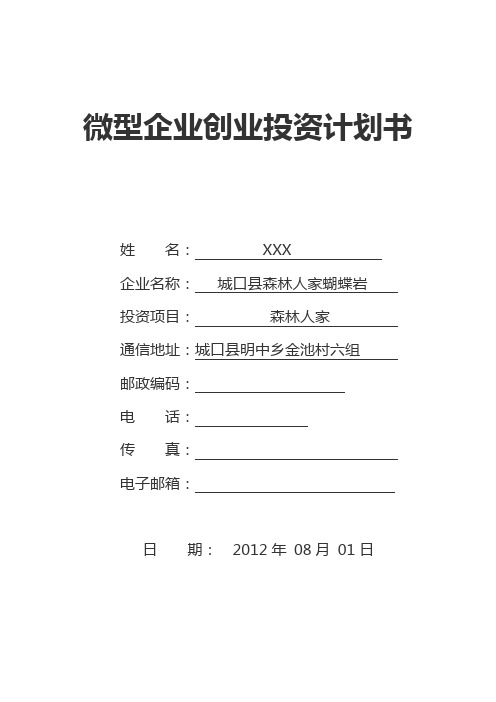 微型企业创业投资计划书模版