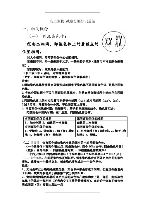 有丝分裂与减数分裂知识点整理