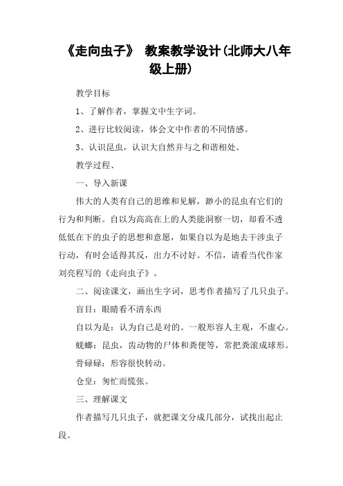 《走向虫子》 教案教学设计(北师大八年级上册)