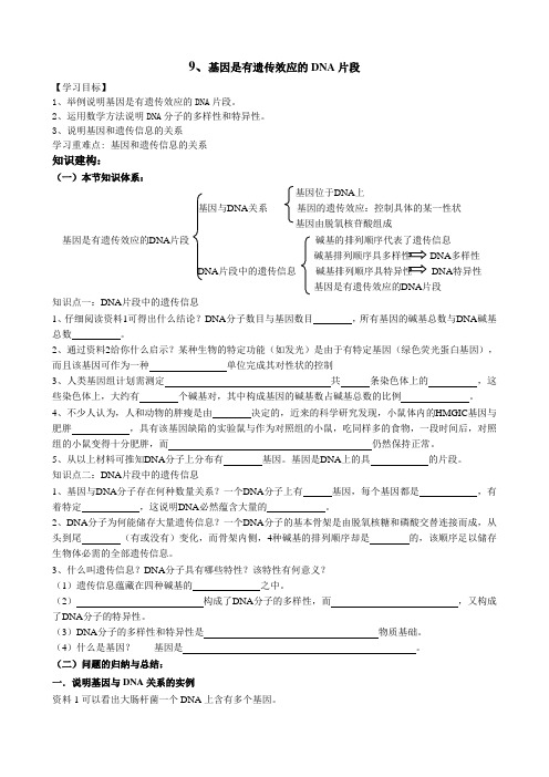 9.基因是有遗传效应的DNA片段