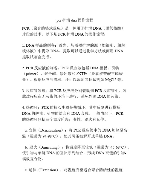 pcr扩增dna操作流程