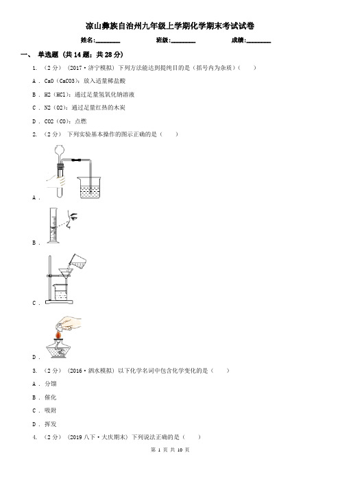 凉山彝族自治州九年级上学期化学期末考试试卷