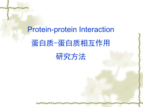 蛋白质相互作用研究方法