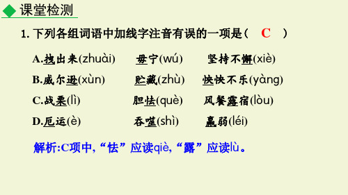 语文阅读理解方法和技巧课件ppt 徒步走向南极