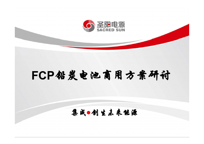 圣阳-FCP铅炭电池商用解决方案(山东圣阳)(1)