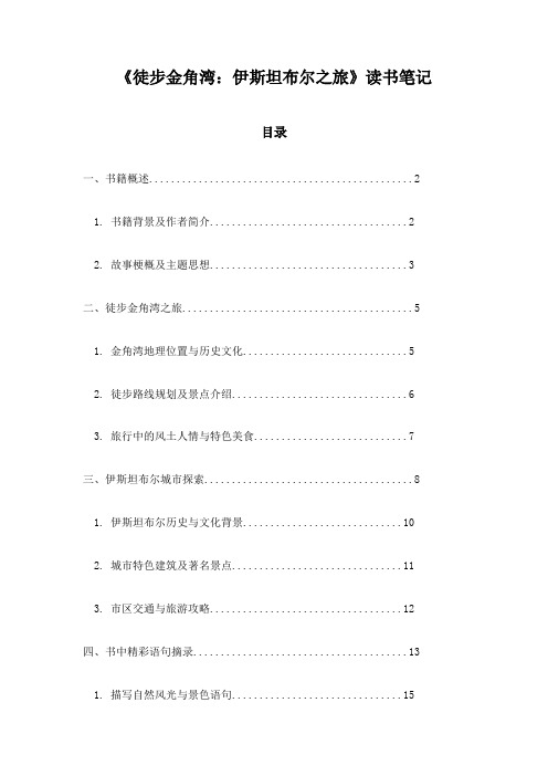 《徒步金角湾：伊斯坦布尔之旅》记录