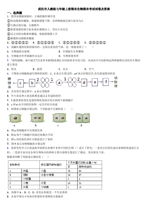 武汉市人教版七年级上册期末生物期末考试试卷及答案