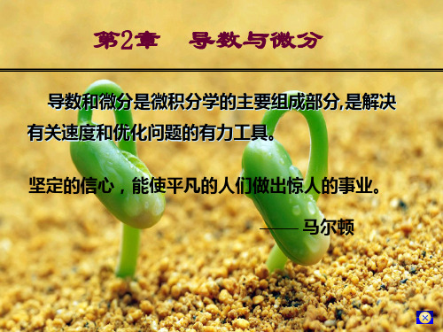 导数与微分  PPT