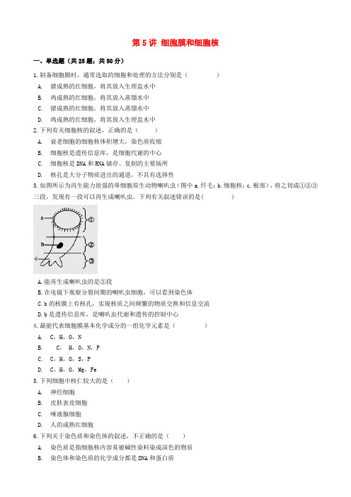 高考生物一轮复习第5讲细胞膜和细胞核练习
