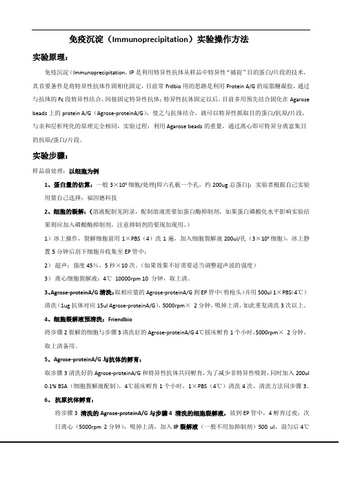 免疫共沉淀详细操作方法