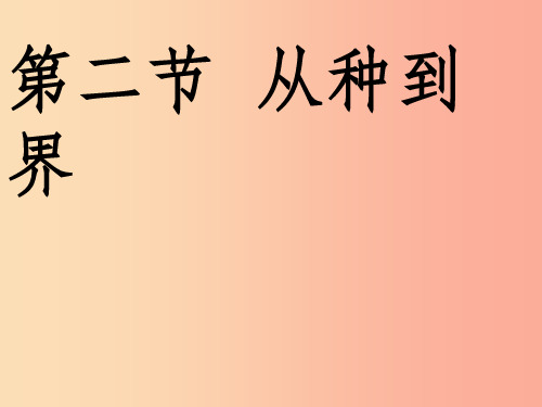 八年级生物上册 6.1.2《从种到界》课件4  新人教版