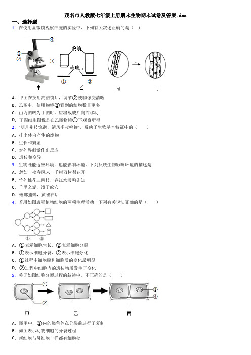 茂名市人教版七年级上册期末生物期末试卷及答案.doc