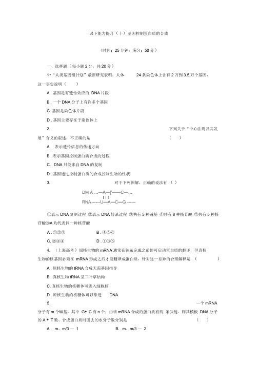 2019-2020学年高一生物苏教版必修二课下能力提升：(十)Word版含解析