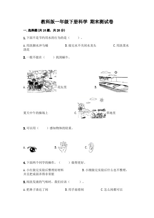 教科版一年级下册科学 期末测试卷带答案(最新)