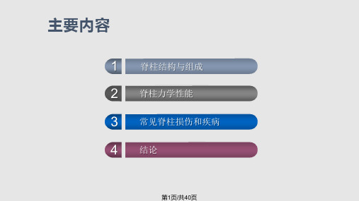 脊柱生物力学及脊柱基本结构PPT课件