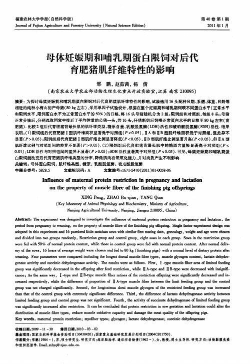 母体妊娠期和哺乳期蛋白限饲对后代育肥猪肌纤维特性的影响