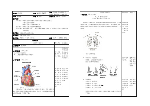 心脏叩诊教案_陈铁清