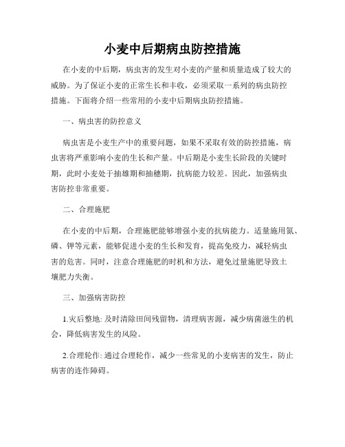 小麦中后期病虫防控措施