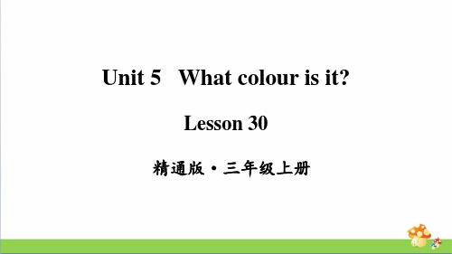 人教精通版三年级英语(上)Lesson30课件