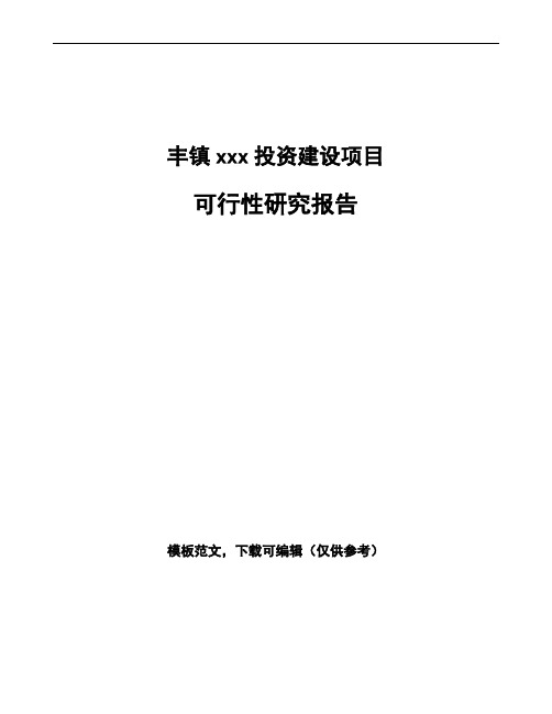 丰镇项目可行性研究报告通用
