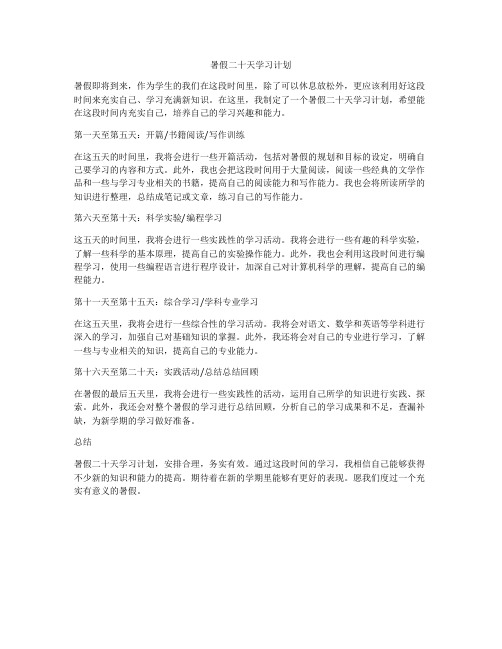 暑假二十天学习计划