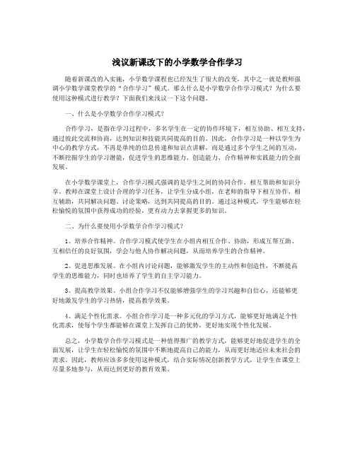 浅议新课改下的小学数学合作学习