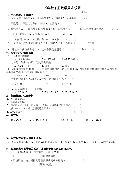 最新苏教版五年级数学下册：周末乐园2周