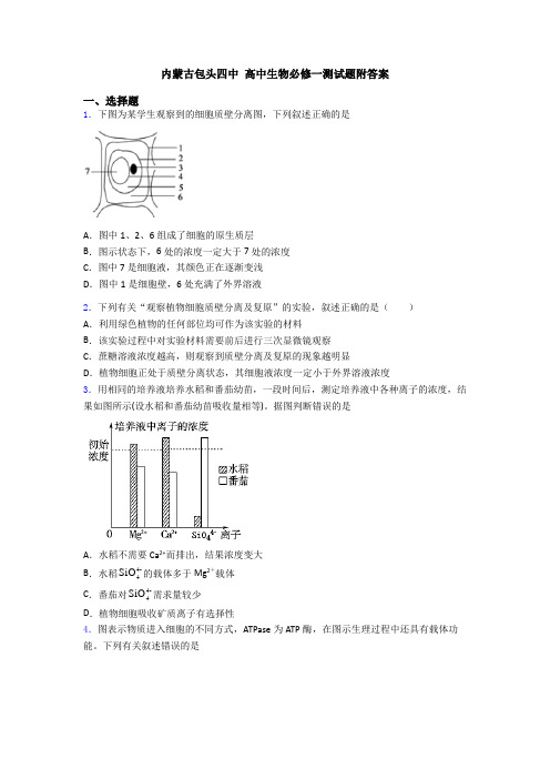 内蒙古包头四中 高中生物必修一测试题附答案