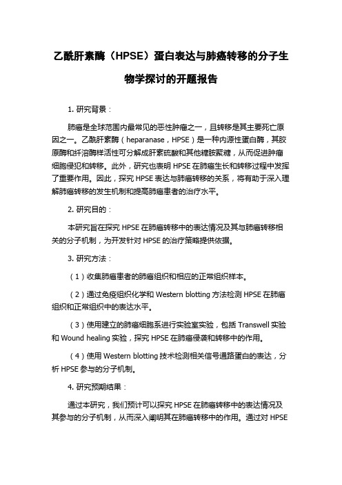 乙酰肝素酶(HPSE)蛋白表达与肺癌转移的分子生物学探讨的开题报告