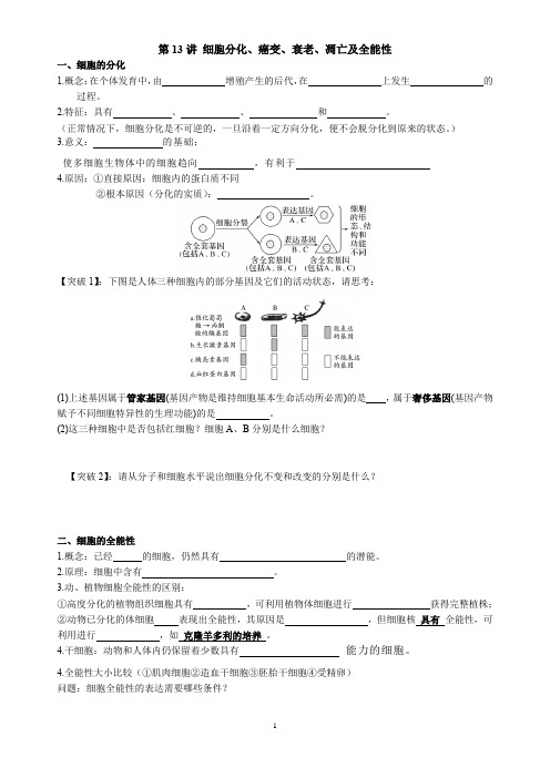 高三生物一轮复习导学案第13讲+细胞分化衰老凋亡癌变