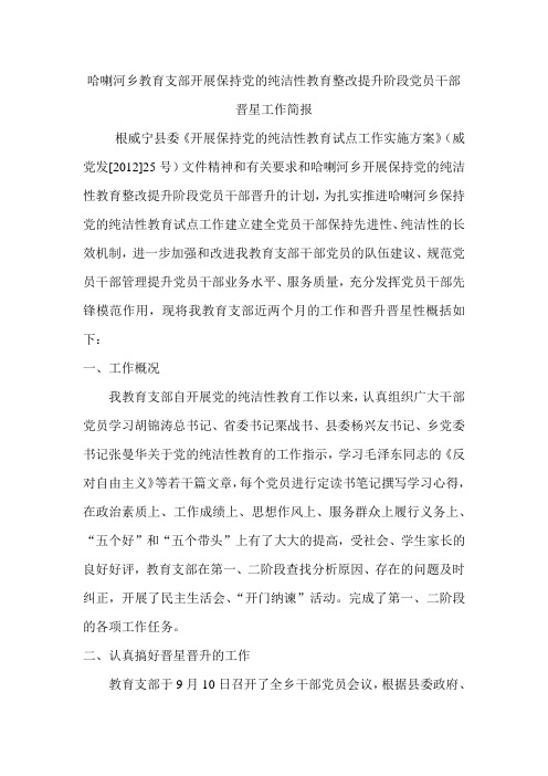 哈喇河乡教育支部开展保持党的纯洁性教育整改提升阶段党员干部晋星工作简报