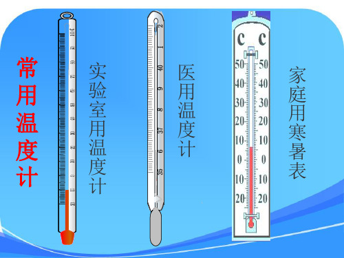 温度计读数课件