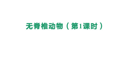 2.2.1无脊椎动物(第1课时)课件(共30张PPT)人教版生物七年级上册(2024).ppt