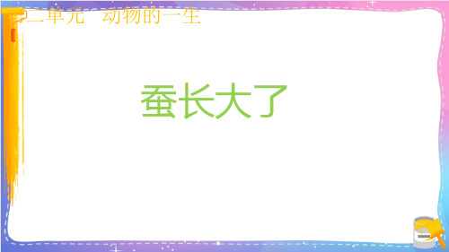 新教科版小学科学三年级下册《蚕长大了》名师教学课件