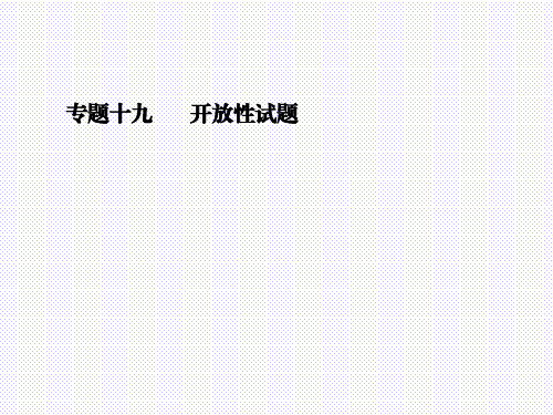 最新人教版九年级化学中考复习专题十九 开放性试题 (共31张PPT)