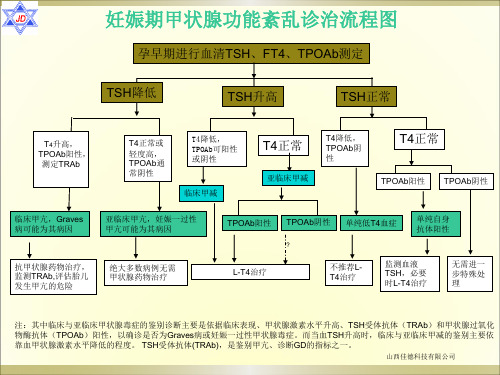 甲状腺功能判读表1