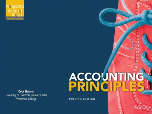 Accounting Principles (14)