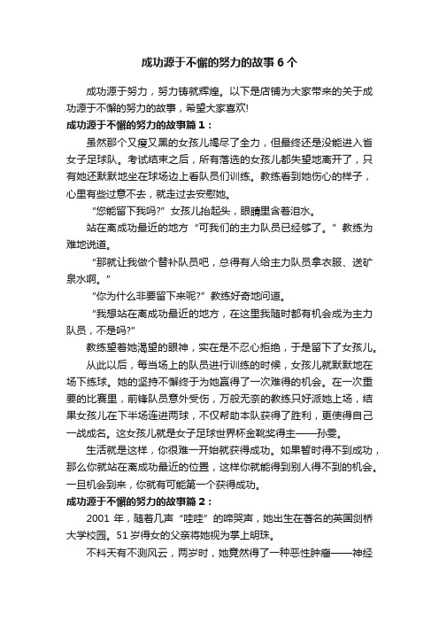 成功源于不懈的努力的故事6个