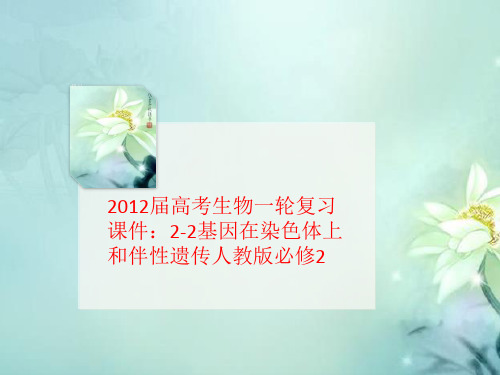 2012届高考生物一轮复讲义习课件：2-2基因在染色体上和伴性遗传人教版必修2