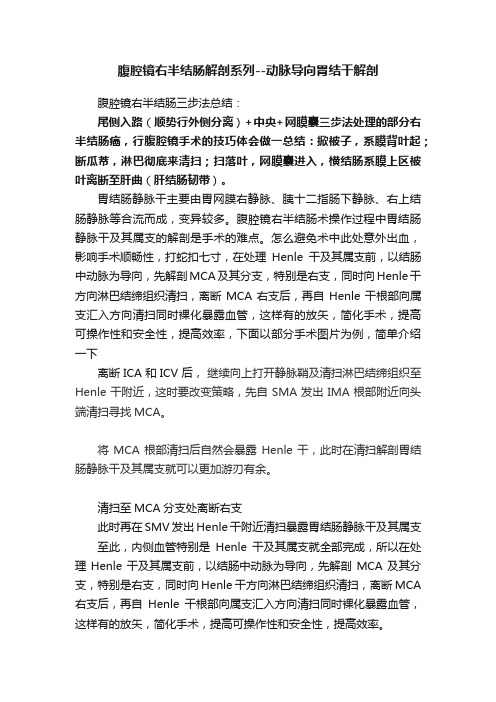 腹腔镜右半结肠解剖系列--动脉导向胃结干解剖