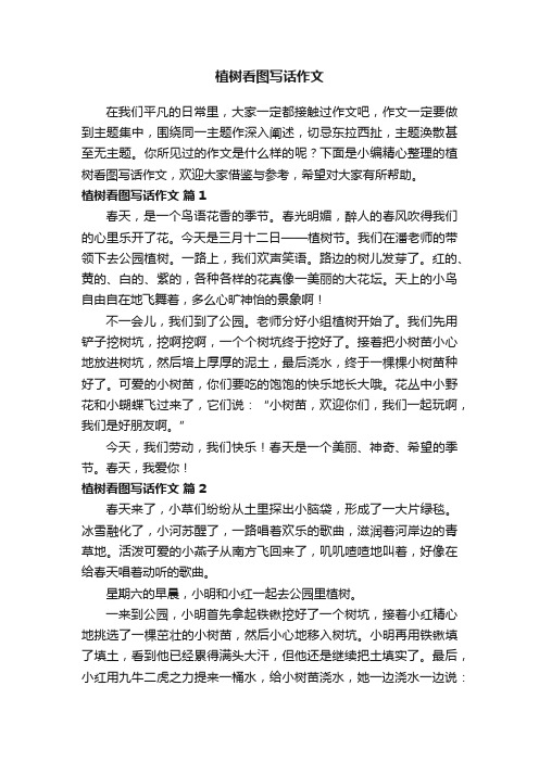 植树看图写话作文(精选21篇)