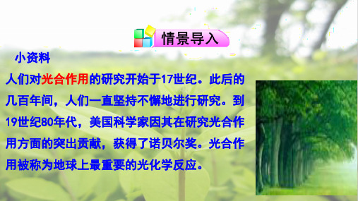 苏教版七年级生物上册6.2 植物光合作用的场所 课件 (共21张PPT)