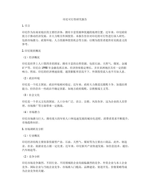 印尼可行性研究报告