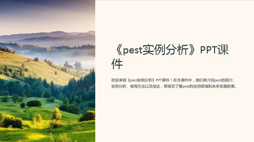 《pest实例分析》课件