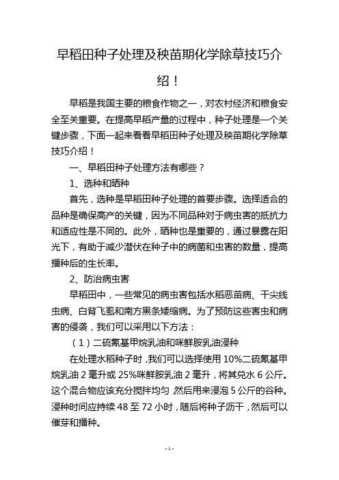 早稻田种子处理及秧苗期化学除草技巧介绍!