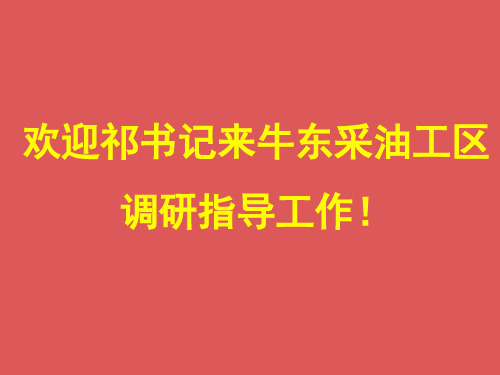 采油工区党支部汇报3.8