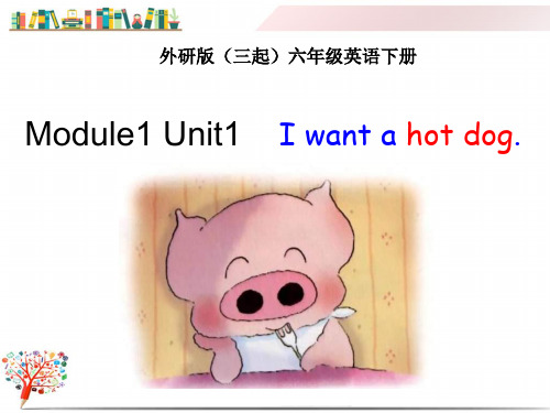 外研版六年级英语下册《M1U1 I want a hot dog (1)》课件