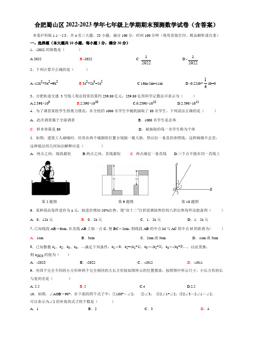 安徽省合肥市蜀山区2022-2023学年七年级上学期期末预测数学试卷(含答案)