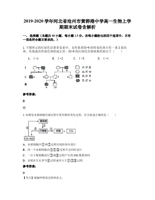 2019-2020学年河北省沧州市黄骅港中学高一生物上学期期末试卷含解析