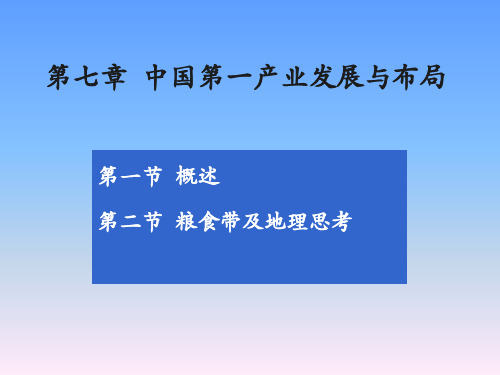 中国第一产业发展与布局分析